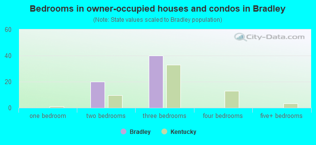 Bedrooms in owner-occupied houses and condos in Bradley