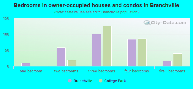Bedrooms in owner-occupied houses and condos in Branchville