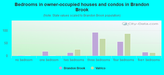 Bedrooms in owner-occupied houses and condos in Brandon Brook