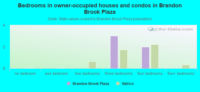 Bedrooms in owner-occupied houses and condos in Brandon Brook Plaza