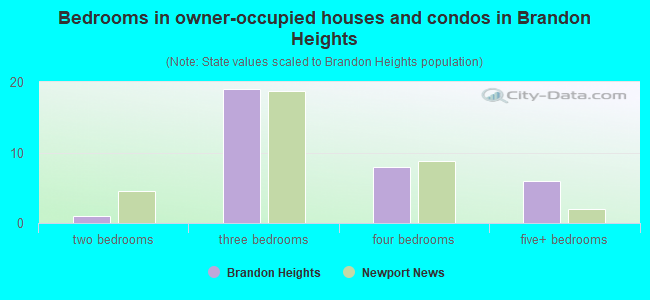 Bedrooms in owner-occupied houses and condos in Brandon Heights
