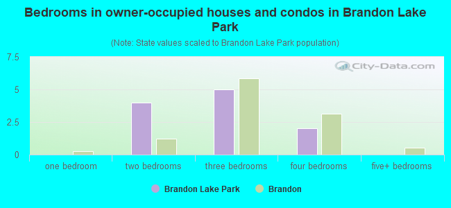 Bedrooms in owner-occupied houses and condos in Brandon Lake Park