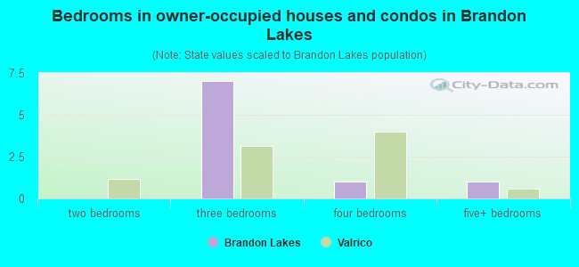 Bedrooms in owner-occupied houses and condos in Brandon Lakes