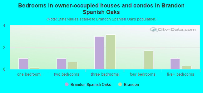 Bedrooms in owner-occupied houses and condos in Brandon Spanish Oaks