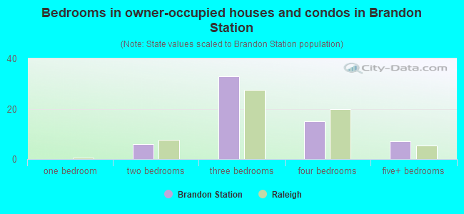 Bedrooms in owner-occupied houses and condos in Brandon Station