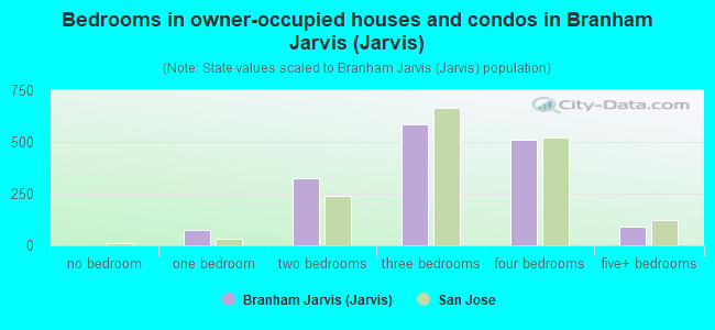 Bedrooms in owner-occupied houses and condos in Branham Jarvis (Jarvis)