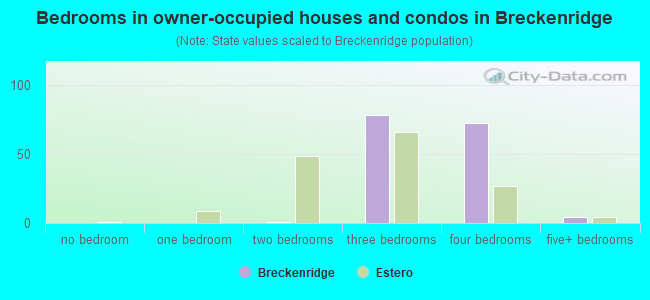 Bedrooms in owner-occupied houses and condos in Breckenridge