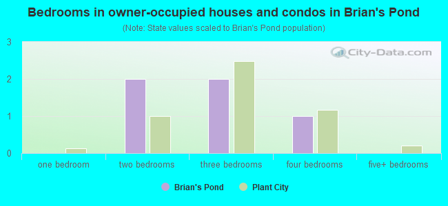 Bedrooms in owner-occupied houses and condos in Brian's Pond