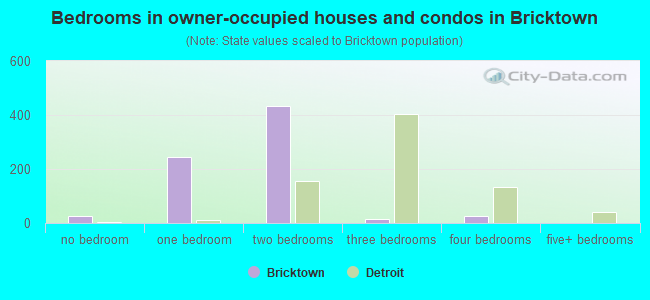 Bedrooms in owner-occupied houses and condos in Bricktown