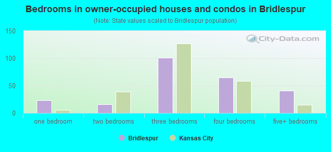 Bedrooms in owner-occupied houses and condos in Bridlespur