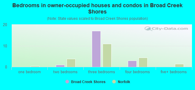 Bedrooms in owner-occupied houses and condos in Broad Creek Shores