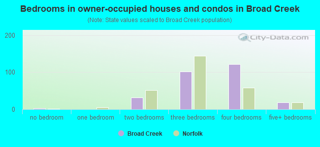Bedrooms in owner-occupied houses and condos in Broad Creek