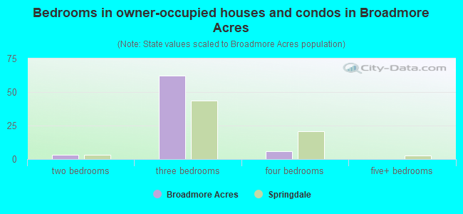 Bedrooms in owner-occupied houses and condos in Broadmore Acres