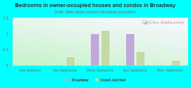 Bedrooms in owner-occupied houses and condos in Broadway