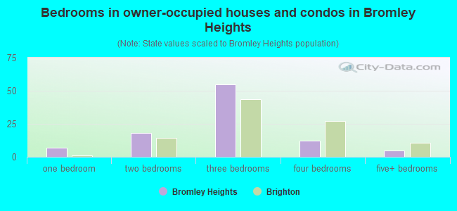 Bedrooms in owner-occupied houses and condos in Bromley Heights