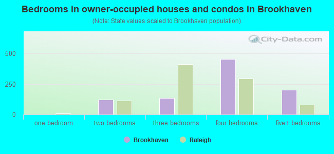 Bedrooms in owner-occupied houses and condos in Brookhaven