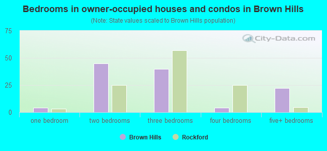 Bedrooms in owner-occupied houses and condos in Brown Hills