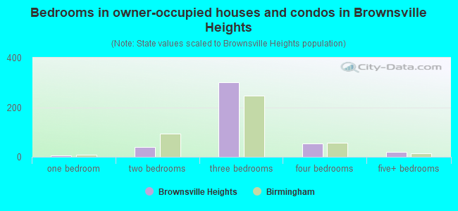 Bedrooms in owner-occupied houses and condos in Brownsville Heights