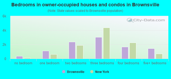 Bedrooms in owner-occupied houses and condos in Brownsville