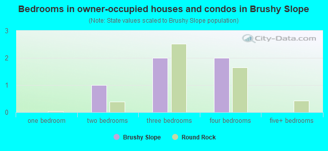 Bedrooms in owner-occupied houses and condos in Brushy Slope