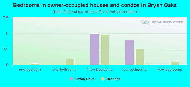 Bedrooms in owner-occupied houses and condos in Bryan Oaks
