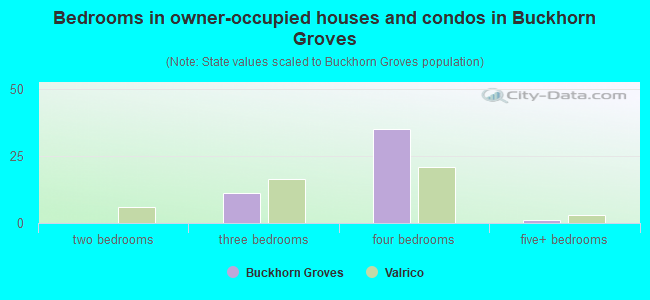 Bedrooms in owner-occupied houses and condos in Buckhorn Groves