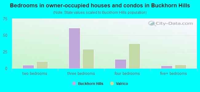 Bedrooms in owner-occupied houses and condos in Buckhorn Hills