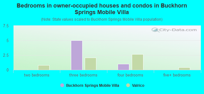 Bedrooms in owner-occupied houses and condos in Buckhorn Springs Mobile Villa