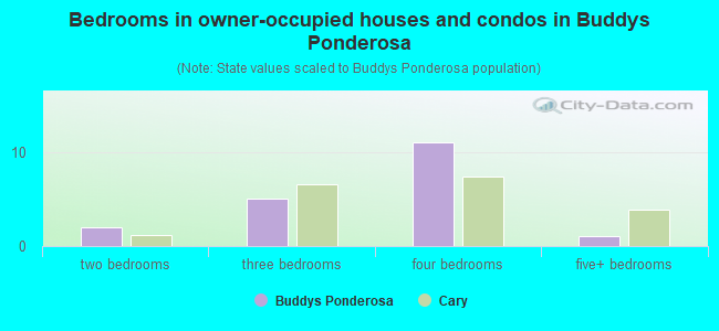 Bedrooms in owner-occupied houses and condos in Buddys Ponderosa