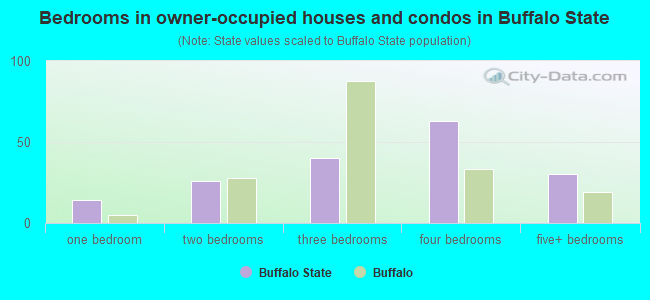 Bedrooms in owner-occupied houses and condos in Buffalo State