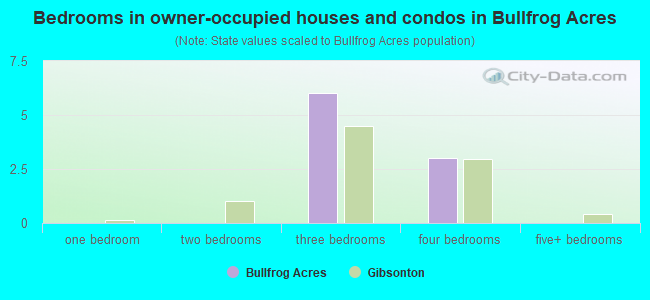 Bedrooms in owner-occupied houses and condos in Bullfrog Acres
