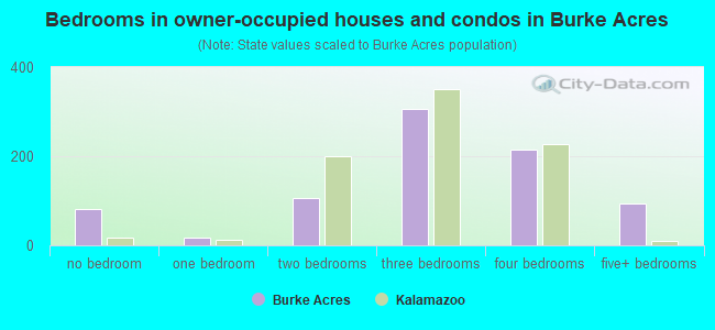 Bedrooms in owner-occupied houses and condos in Burke Acres