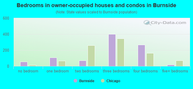 Bedrooms in owner-occupied houses and condos in Burnside