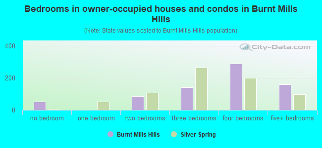 Bedrooms in owner-occupied houses and condos in Burnt Mills Hills
