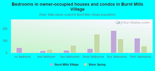 Bedrooms in owner-occupied houses and condos in Burnt Mills Village