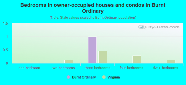 Bedrooms in owner-occupied houses and condos in Burnt Ordinary