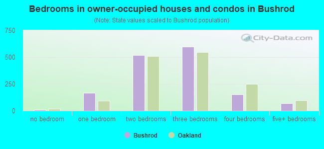 Bedrooms in owner-occupied houses and condos in Bushrod
