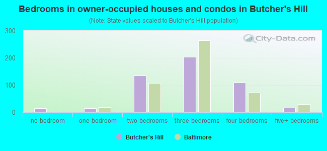 Bedrooms in owner-occupied houses and condos in Butcher's Hill