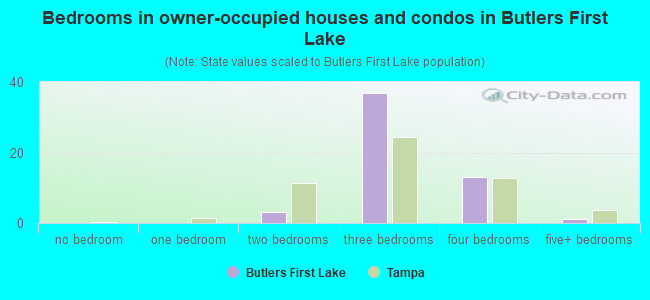 Bedrooms in owner-occupied houses and condos in Butlers First Lake