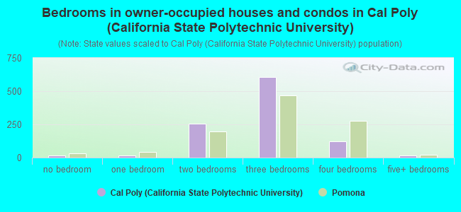 Bedrooms in owner-occupied houses and condos in Cal Poly (California State Polytechnic University)