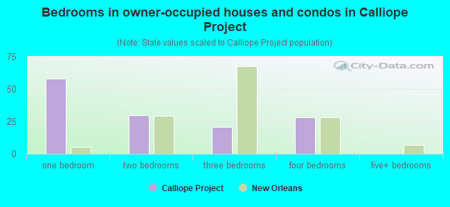 Bedrooms in owner-occupied houses and condos in Calliope Project