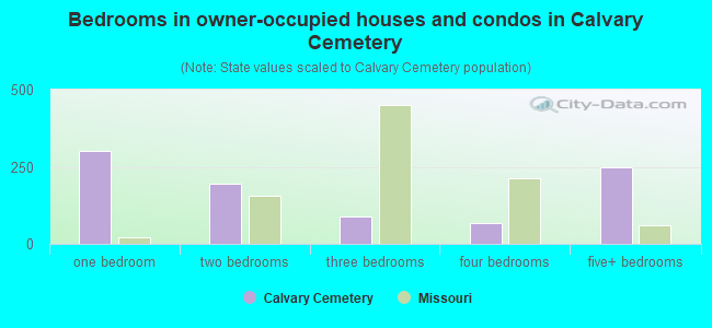 Bedrooms in owner-occupied houses and condos in Calvary Cemetery