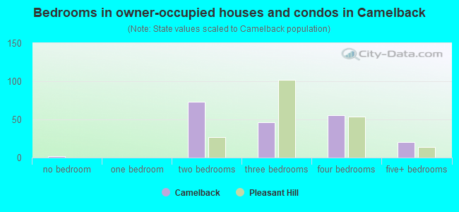 Bedrooms in owner-occupied houses and condos in Camelback