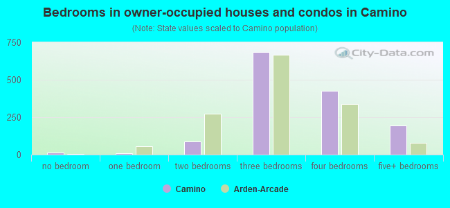 Bedrooms in owner-occupied houses and condos in Camino