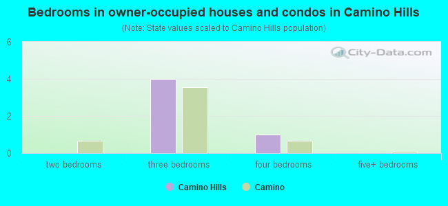 Bedrooms in owner-occupied houses and condos in Camino Hills
