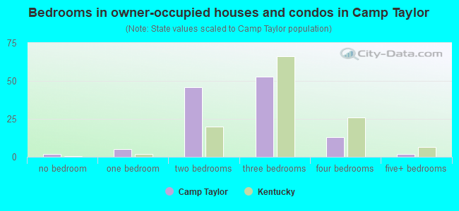 Bedrooms in owner-occupied houses and condos in Camp Taylor