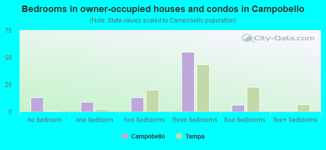 Bedrooms in owner-occupied houses and condos in Campobello