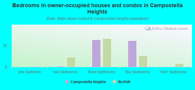 Bedrooms in owner-occupied houses and condos in Campostella Heights
