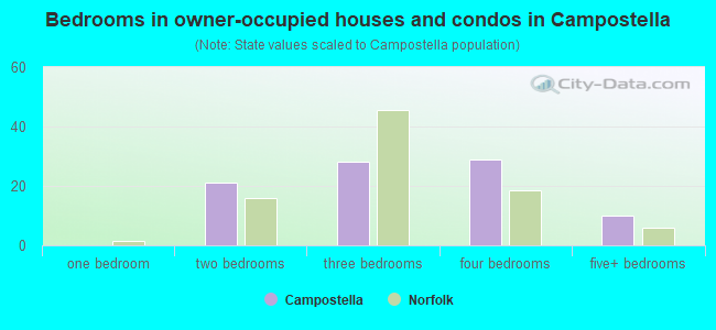 Bedrooms in owner-occupied houses and condos in Campostella