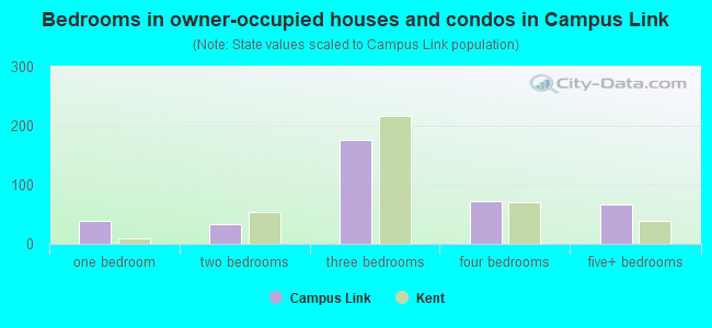 Bedrooms in owner-occupied houses and condos in Campus Link